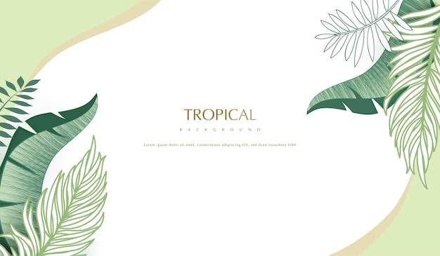 Tropical plants leaves  background
