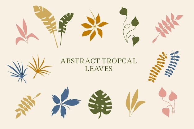 Tropical plants leaves Summertime nature objects Set elements for design of card poster and banner