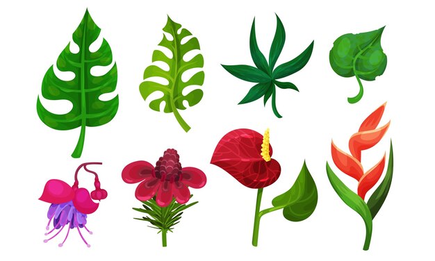 Vector tropical plants vector illustrated set different exotic flora with palm tree and exotic flowers