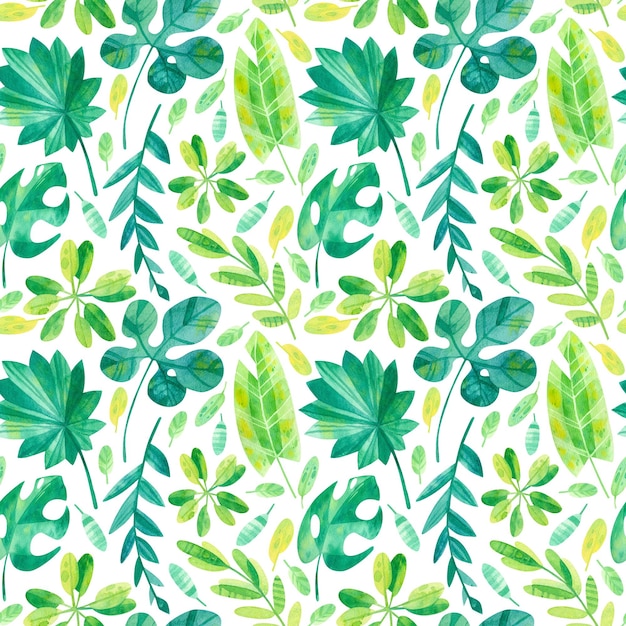 Tropical seamless pattern Banana Monstera Jungle leaves mix Watercolor clipart