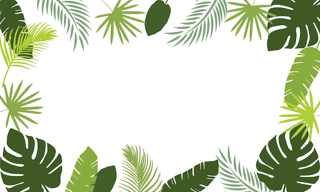 Tropical summer frame with green palm leaves on white backgroundTropical leaf background