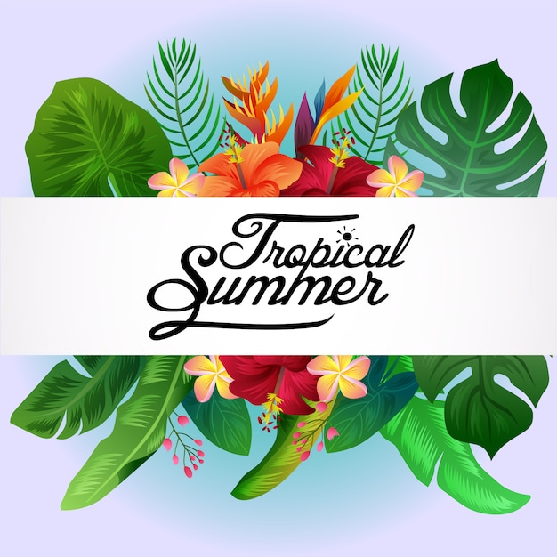 Tropical summer nature background