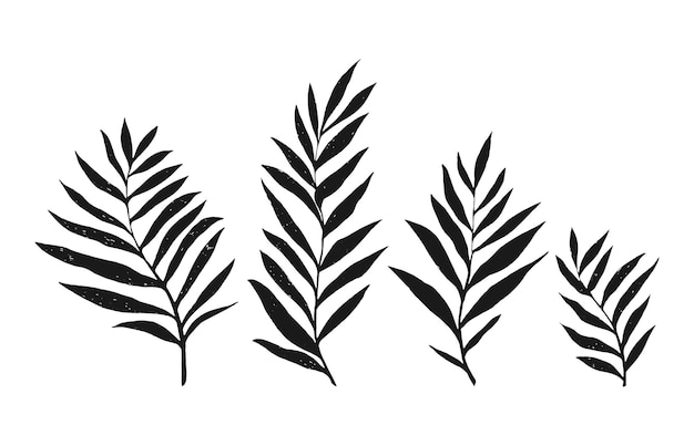 Tropical vector dypsis leaves palm Jungle dypsis leaf tropic set Hand drawn vector exotic leaves