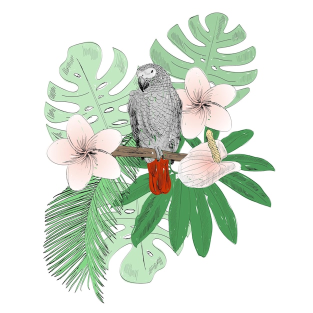 Tropical vector illustration with parrot and flowers