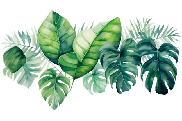 Vector tropical watercolor leaves illustration