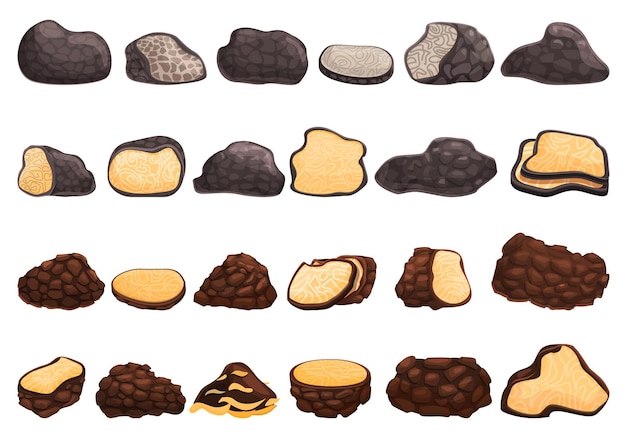 Truffle icons set. Cartoon set of truffle vector icons for web design