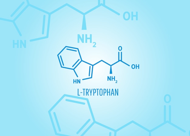 Tryptophan skeletal formula and structure on blue medical background with molecules