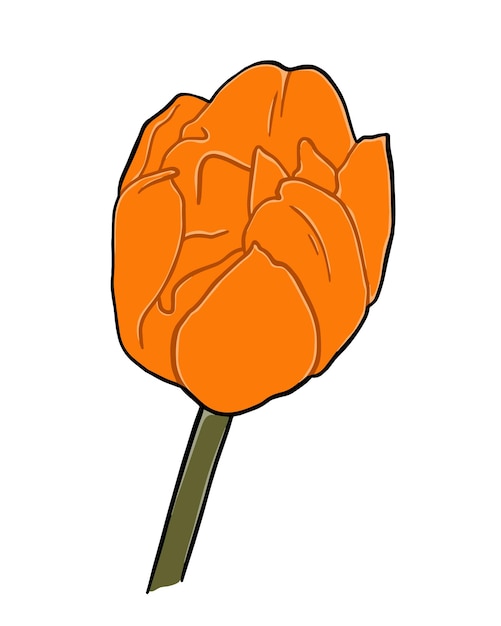 Tulip bud with stem and leaves flower doodle linear