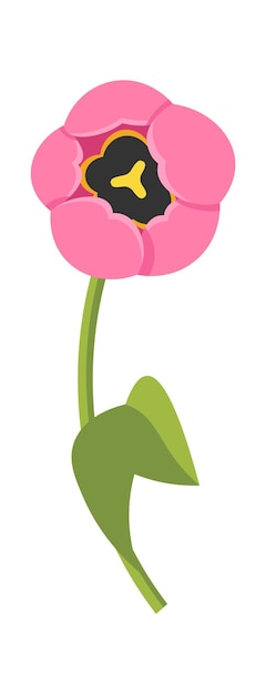 Tulip flower Floral design element Vector illustration