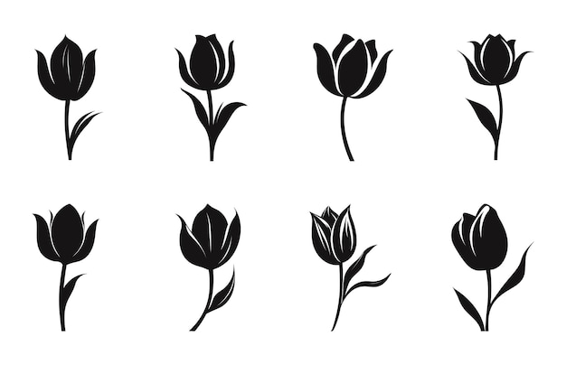 Tulip Flower Silhouette Vector set Tulip Flowers Clipart Bundle