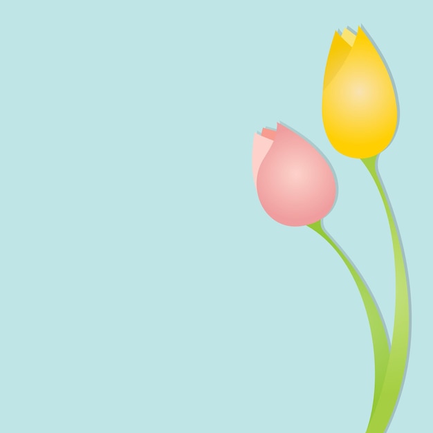 Tulip Flowers vector illustration graphic