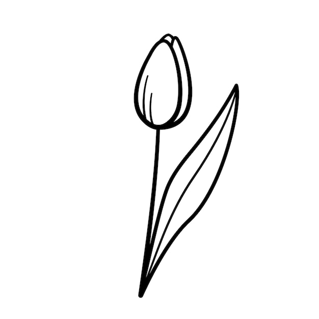 Tulip Hand drawn icon sketch doodle style