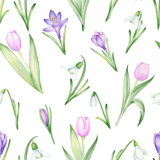 Tulips, crocuses, snowdrops. watercolor seamless pattern on an isolated background.