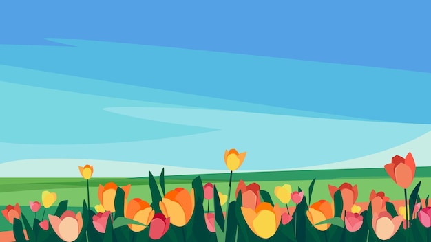 Tulips of different colors on the meadow