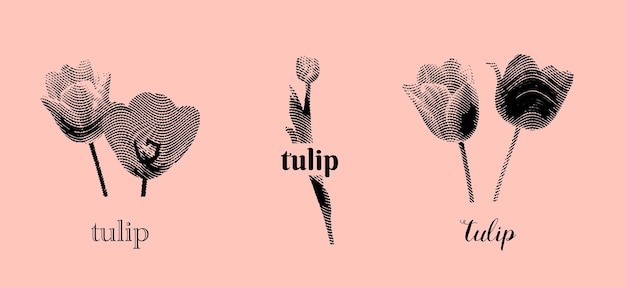 tulips flower set with print effect