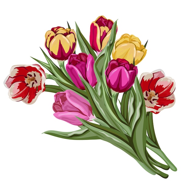 Tulips flowers bouquet vector hand drawn illustration of blooming tulips