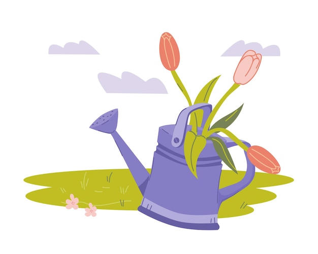 Tulips flowers in watering can for spring card and prints flat vector isolated