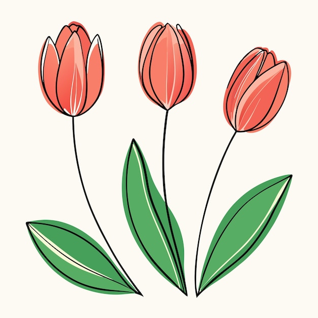 Vector tulips in line art style vector 45