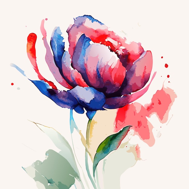 Tulips or rose colorful flowers