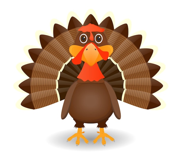 turkey bird cartoon Thanksgiving character isolated on white background