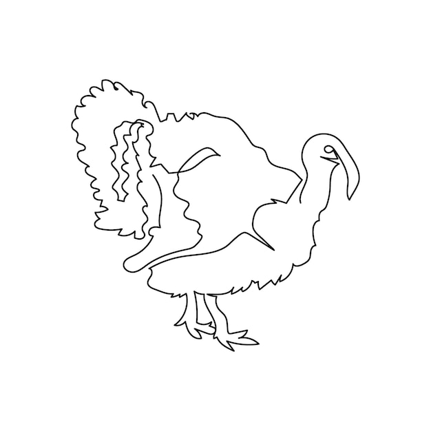 Turkey bird one line art. Continuous line drawing of poultry, domestic animal. Hand drawn vector illustration.