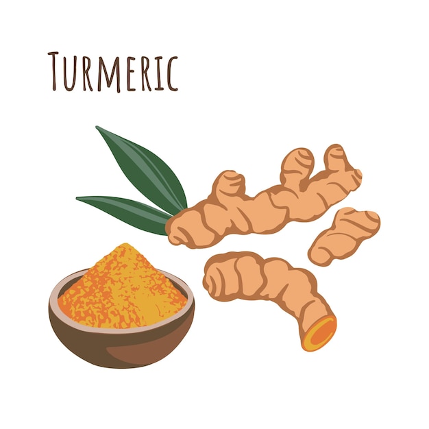 Vector turmeric seasoning root and powder in spice bowl. flat style. vector illustration