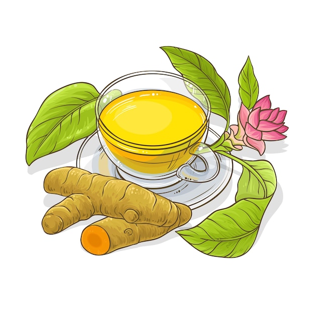 Vector turmeric tea illustration