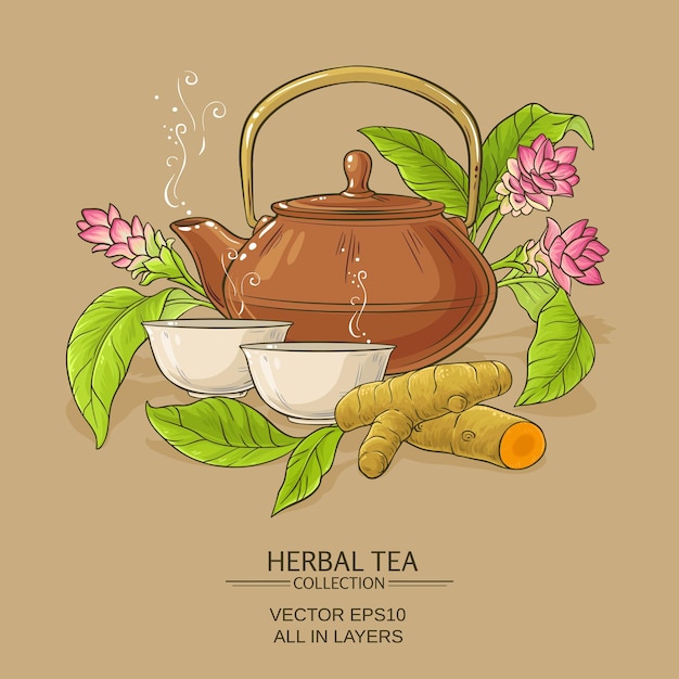 Vector turmeric tea illustration