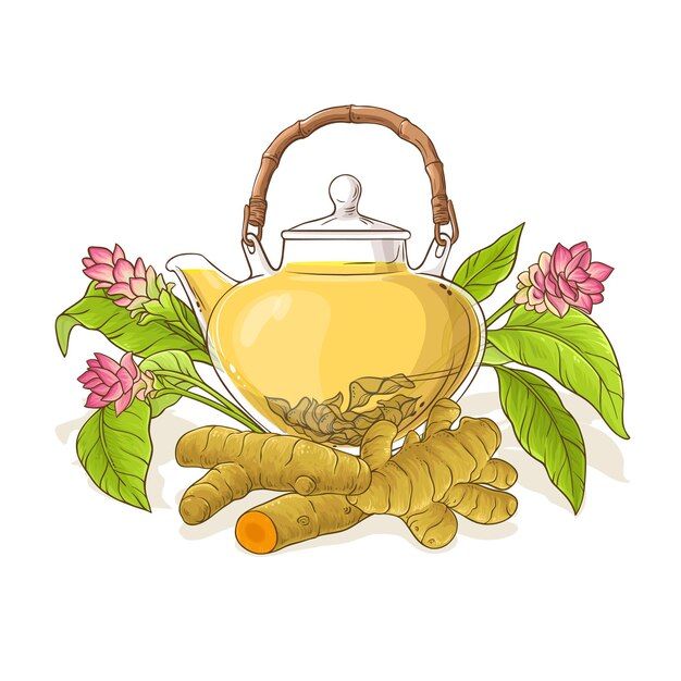 Vector turmeric tea in teapot illustration