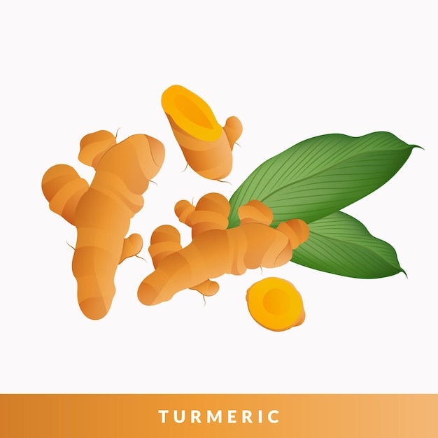 Turmeric with sliced and green leaves spices illustration isolated on white background