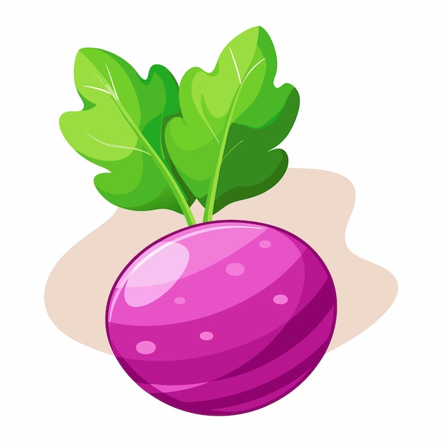 turnip clipart cartoon style vector illustration