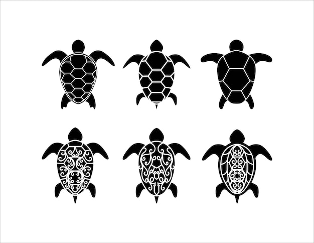 Turtle Collection