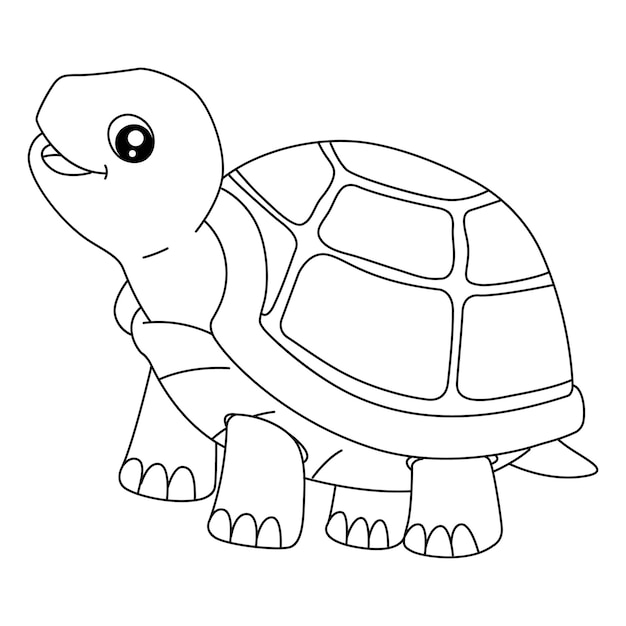 Turtle Coloring Page Isolated for Kids