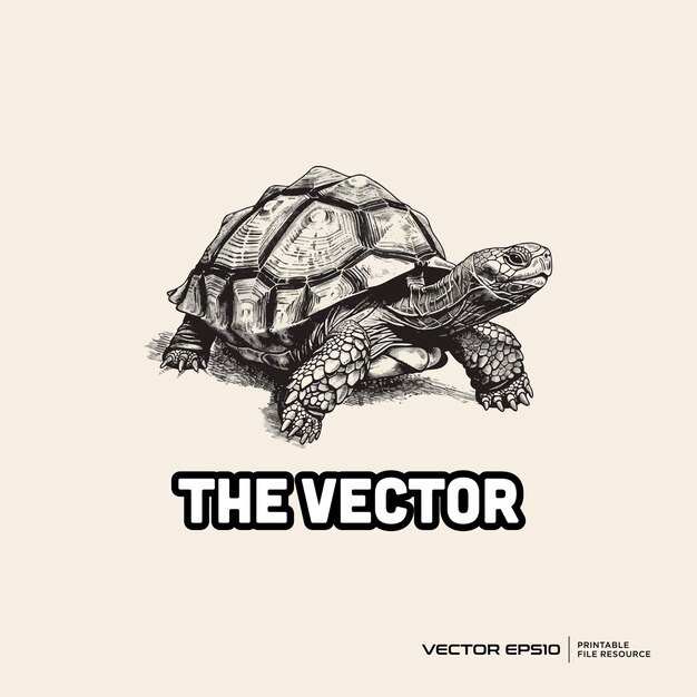 Vector turtle mascot vector logo character cartoon illustration eps10