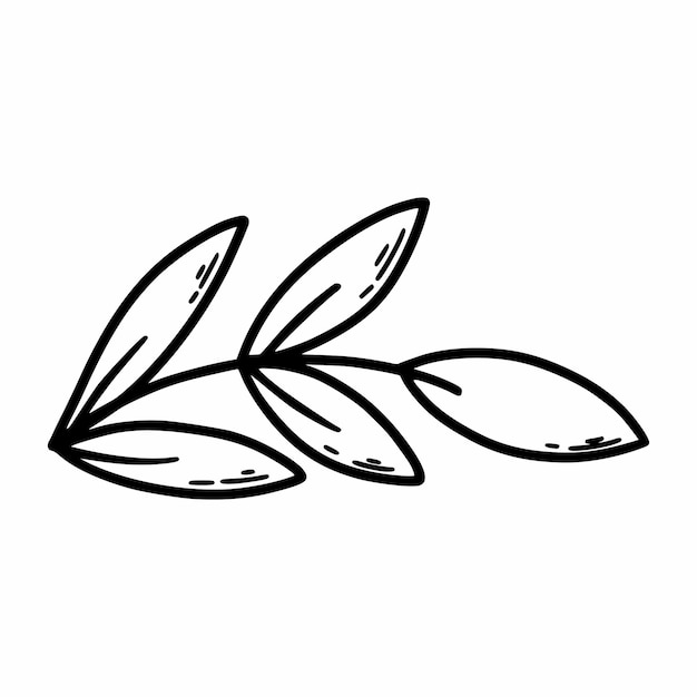 Twig Herbs and plants Vector doodle illustration Hand drawn sketch