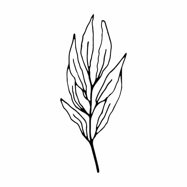 Twig single vector illustration .contour handmade image