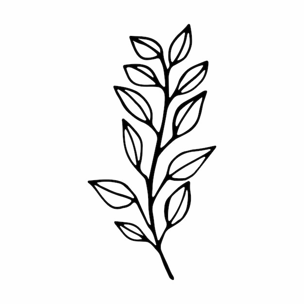 Twig single vector illustration .contour handmade image