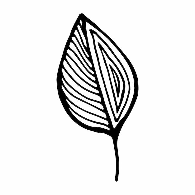 Twig single vector illustration .contour handmade image