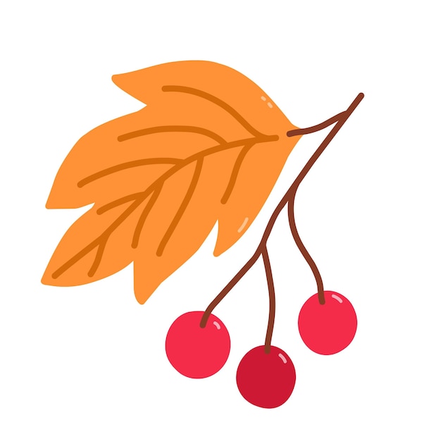 Twig with cranberries and golden leaves hand drawn flat illustration Botanical clipart