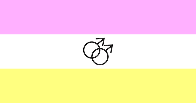 twink lgbt pride flag vector image