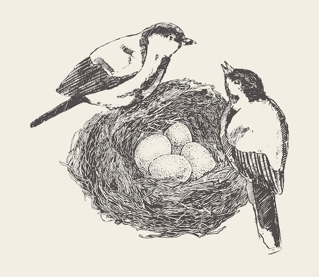 Two birds are sitting in a nest with eggs