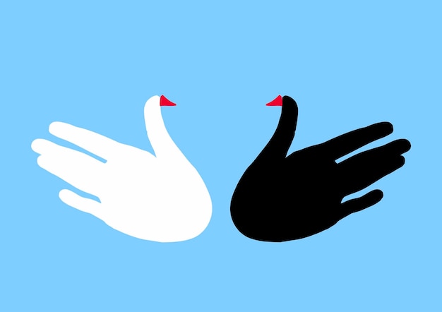 Two birdssilhouette of hands