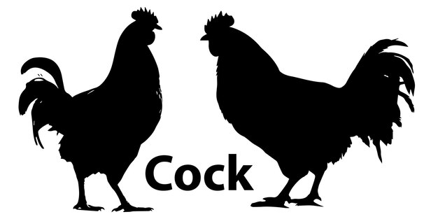 Two Black Cock Silhouette Vector illustration