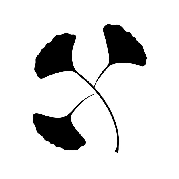 Vector two black flowers with the word  hibiscus  on the bottom