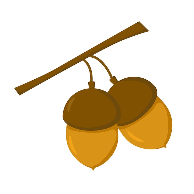 Two brown acorns on a twig in flat style Vector image