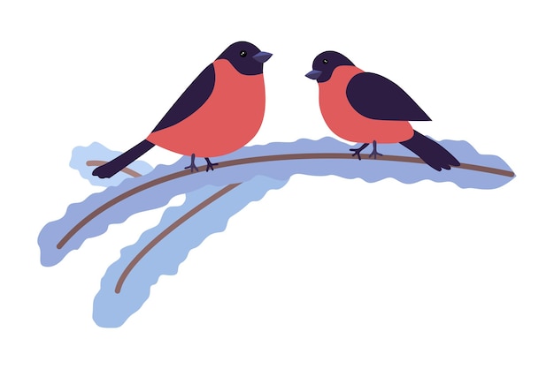 Two bullfinches sit on a snowcovered branch