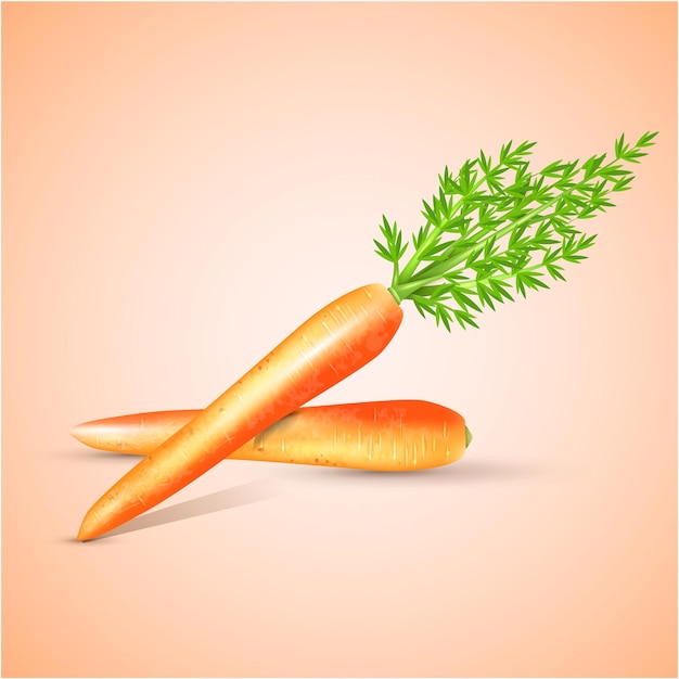 two carrots with a green sprig on the top of them