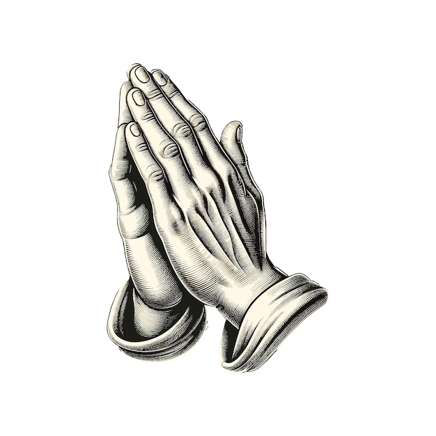 two clasped hands in a classic praying position prayer hands namaste hand praying hands