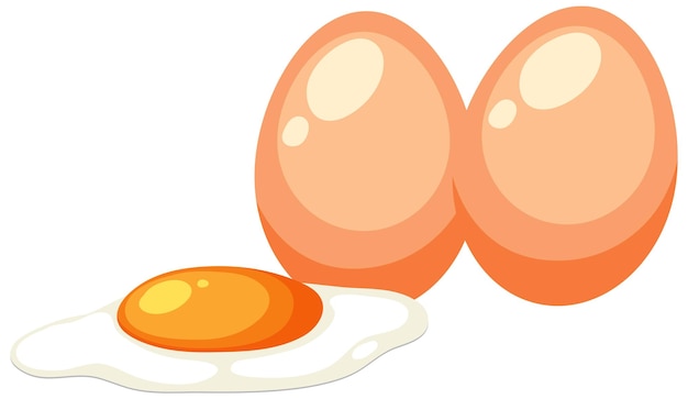 Two eggs vector concept