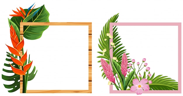 Two frame design with flowers and leaves